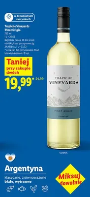 Wino Pinot Grigio promocja w Lidl