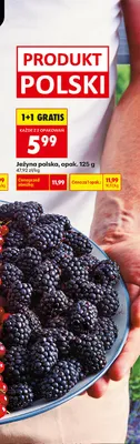 Jeżyna polska promocja w Biedronka