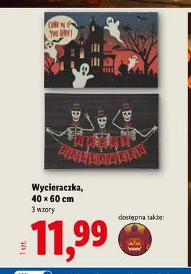 Wycieraczka 40x60 cm promocja w Lidl