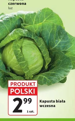 Kapusta biała wczesna polska promocja w Intermarche
