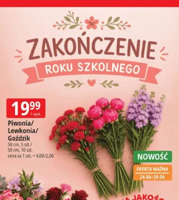 Goździk promocja w Leclerc