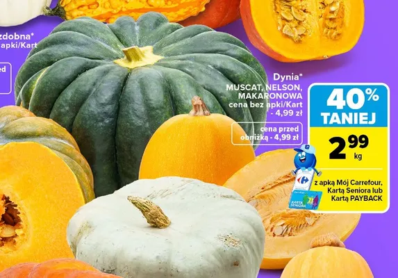Dynia Muscat promocja w Carrefour