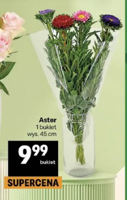 Aster promocja w Delikatesy Centrum