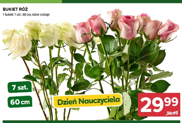 Bukiet róż 7 szt. 60 cm promocja w Stokrotka