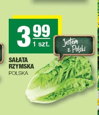 Sałata rzymska promocja w SPAR