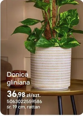 Doniczka gliniana rattan promocja w Castorama