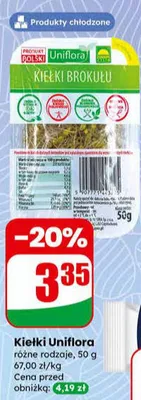 Kiełki różne rodzaje promocja w Dino