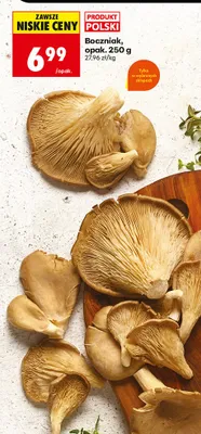 Boczniak promocja w Biedronka
