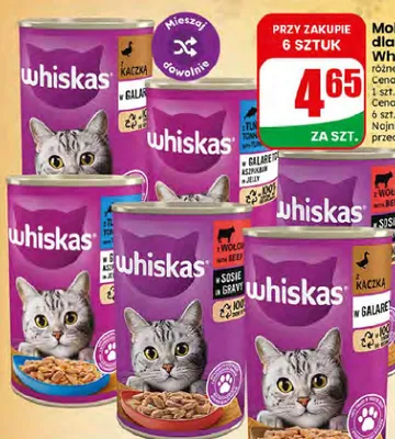 Mokra karma dla kota Whiskas z kaczką w galarecie promocja w Dino