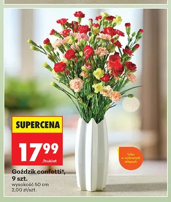 Goździk confetti 9 szt. promocja w Biedronka