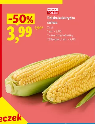 Kukurydza polska świeża promocja w Lidl
