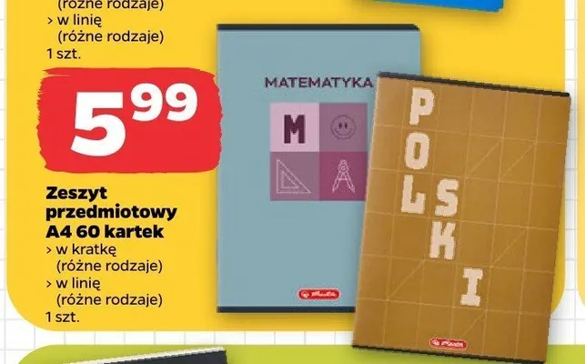 Zeszyt przedmiotowy A4 60 kartek w kratkę Herlitz promocja w Netto