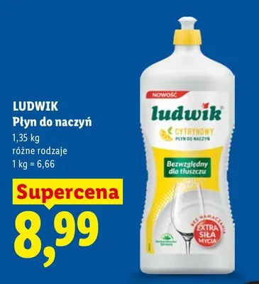 Płyn do naczyń Ludwik promocja w Lidl