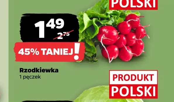 Rzodkiewka promocja w Netto