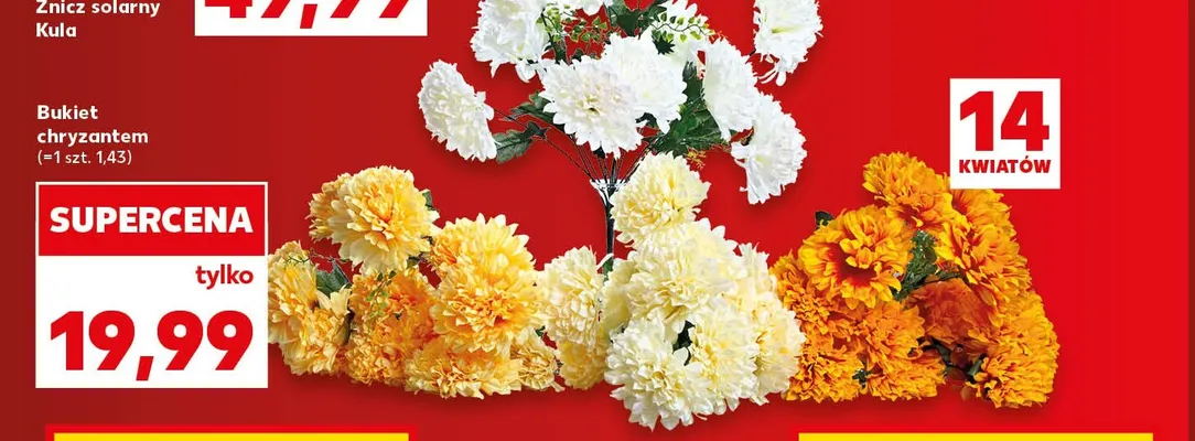 Bukiet chryzantem promocja w Kaufland