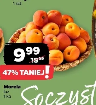 Morela luz promocja w Netto