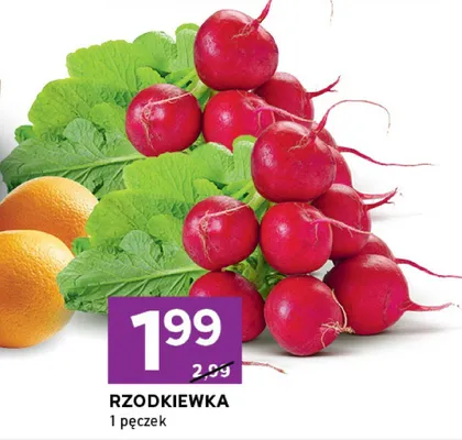 Rzodkiewka promocja w Stokrotka