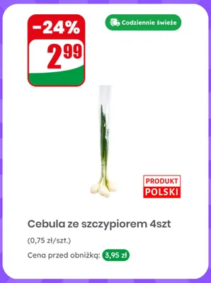 Cebula ze szczypiorem polska 4-pak promocja w Dino
