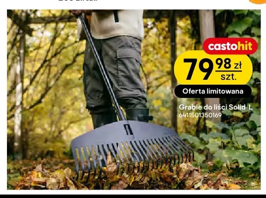 Grabie do liści Solid L Fiskars promocja w Castorama
