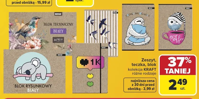 Teczka kolekcja KRAFT Rexus promocja w Carrefour