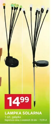 Lampka solarna gałązka promocja w Stokrotka