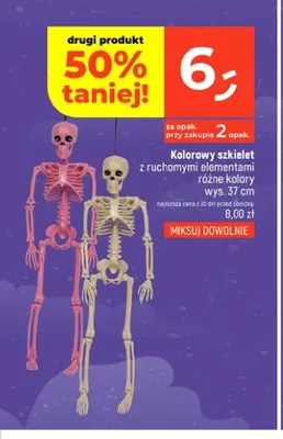 Kolorowy szkielet z ruchomymi elementami 37 cm promocja w Dealz