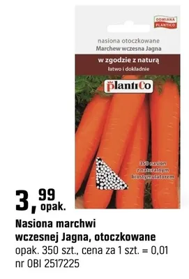 Katalog Ogród, strona 106 promocja w OBI
