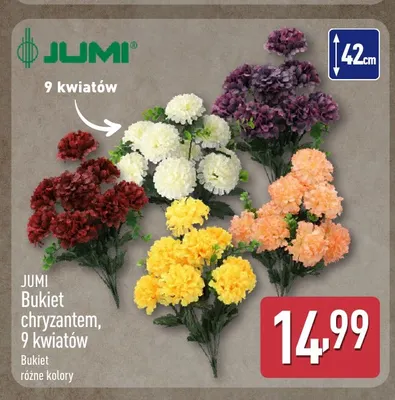 Bukiet chryzantem 9 kwiatów Jumi promocja w Aldi