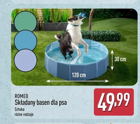 Składany basen dla psa ROMEO promocja w Aldi