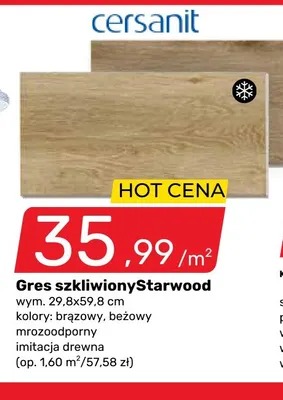 Gres szkliwiony Starwood 29,8x59,8 cm Cersanit promocja w Bricomarche
