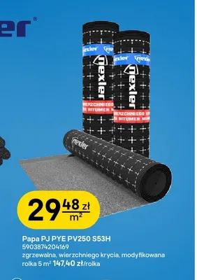 Papa Pj Pye PV250 S53H Nexler promocja w Castorama