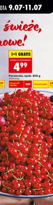 Porzeczka promocja w Biedronka