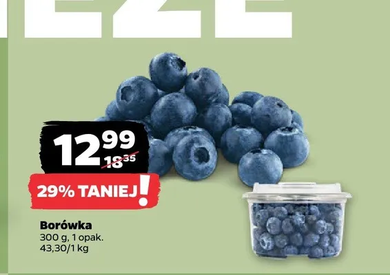 Borówka promocja w Netto