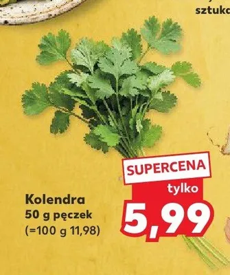 Kolendra świeża pęczek promocja w Kaufland