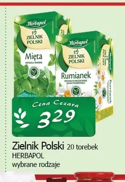 Herbata Zielnik Polski Herbapol promocja w CEZAR Delikatesy