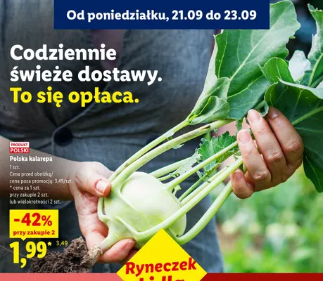 Kalarepa polska Ryneczek Lidla promocja w Lidl