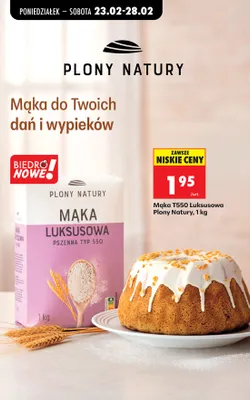 Mąka luksusowa T550 promocja w Biedronka