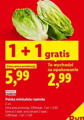 Minisałata rzymska polska promocja w Lidl