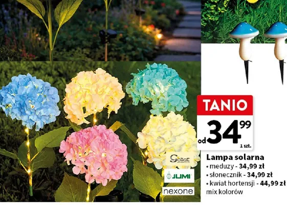 Lampa solarna kwiat hortensji mix kolorów promocja w Intermarche