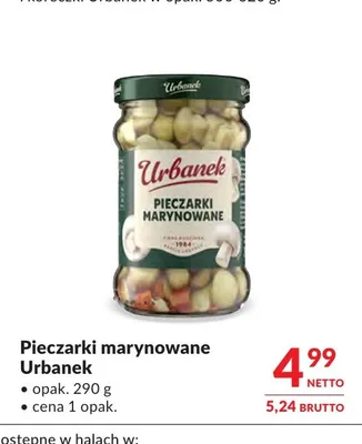 Pieczarki marynowane Urbanek promocja w Makro