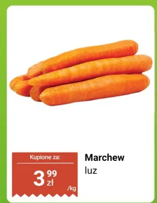 Marchew luz Biedronka promocja w Biedronka