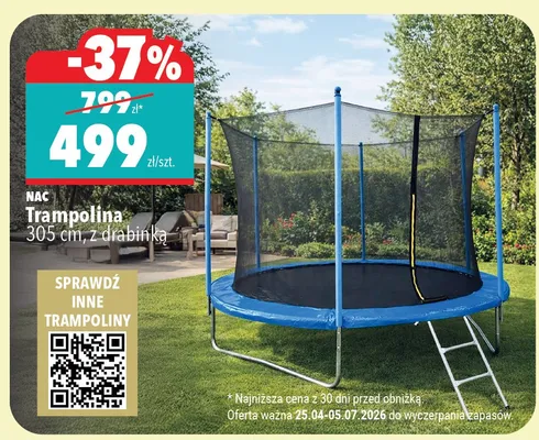 Trampolina NAC 305cm z drabinką promocja w Biedronka Home