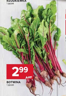 Botwina promocja w Stokrotka
