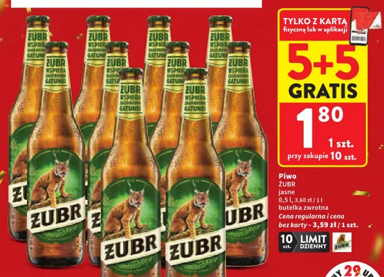 Piwo Żubr promocja w Intermarche