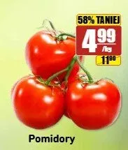 Pomidory promocja w API Market