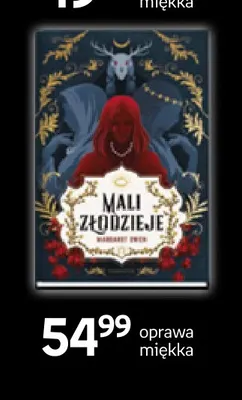 Książka Mali złodzieje Margaret Owen oprawa miękka Moondrive promocja w Empik