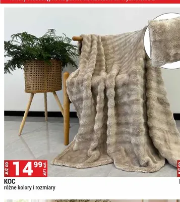 Koc promocja w Merkury Market