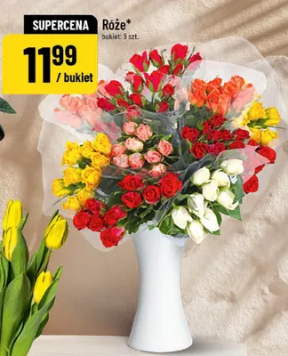 Róże promocja w POLOmarket