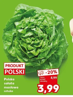 Polska sałata masłowa promocja w Kaufland
