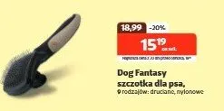 Szczotka dla psa promocja w KAKADU